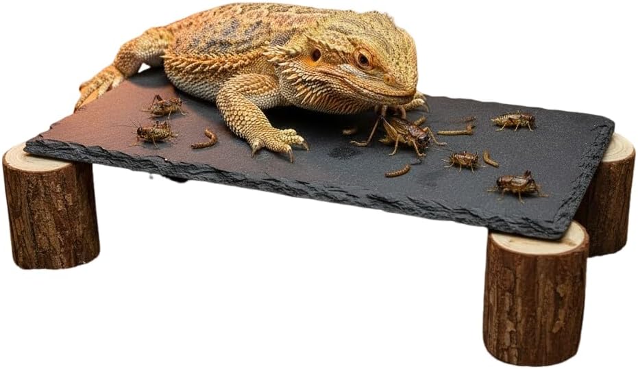 Bearded Dragon Tank Accessories Slate Rocks for Reptiles Slate Tiles for Reptiles Reptile Tank Accessories for Bearded Dragons Geckos Ball Pythons Tortoise Small pet Feeding Table