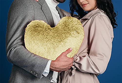 PriMaryHoMe Fur Heart Shape Pillow - Hugging Pillow Stuffed Soft Love Gift (Beige) (B09FKJDX72) Amazon Price History, Amazon Price Tracker