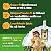 Green Hero Zeckenspray schützt zuverlässig vor Zecken, Mücken & Moskitos 100ml Zeckenschutz mit dem gut duftendem Wirkstoff EC-Öl, geeignet für Erwachsene und Kinder ab dem 6. Monat