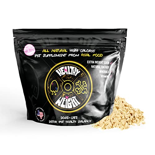 Discover the Top 10 High Protein Dog Foods for Weight Gain A