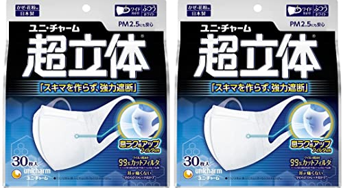 超立体マスク ふつうサイズ 30枚入×2個セット
