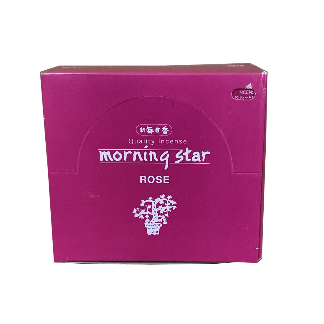 Morning Star Rose - 600 varillas de incienso (paquete de 12 x 50 varillas), aromaterapia natural, respetuosa con el medio ambiente, sin plástico, embalaje de papel, fragancia para relajación