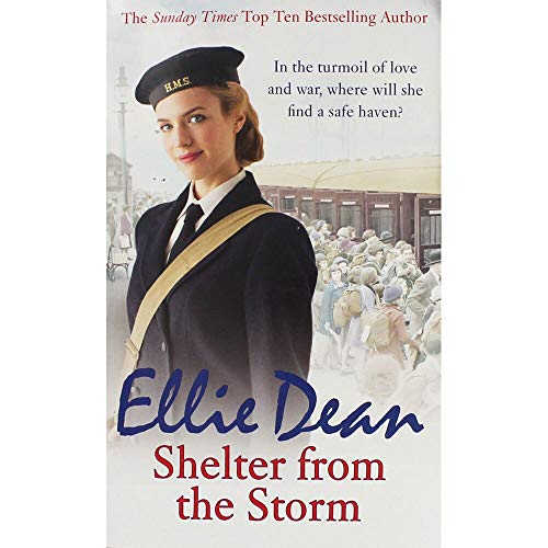 Shelter from the Storm 1787460479 Book Cover