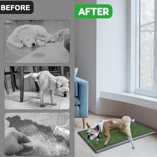 Image of Reusable Pet Grass Potty w / 2-Pack Replaceable Artificial Grass Quick Absorbent Indoor Portable Pet Training Patio Potty Washable Pee Pad Box Toliet (Large-20X30In)