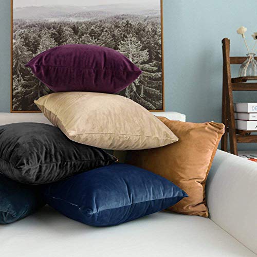 Image of NTBAY Zippered Velvet Square Throw Pillow Cover, Super Soft and Luxury Decorative Euro Pillowcase, 26x26 Inches, Charcoal Grey