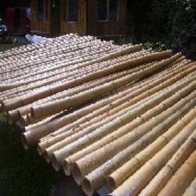 Jens Poppe Handelsvertretungen 5 Stck Bambus - Stangen 200cm lang 8-10 cm  Durchmesser : Amazon.de: Garten