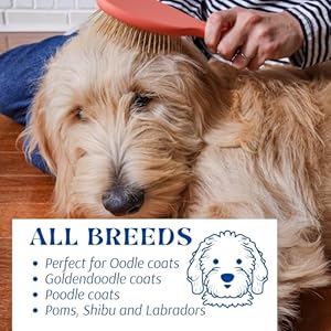 Pet-Grooming-Detangler-Pin-Dog-Brush-For-Shedding-and-Removing-Loose-Fur-Premium-Lightweight-Wood-with-Gold-Plated-Pins-for-Long-Hair-Pin-Brush-for-Dogs - Cucciolini Doodles Pet-Grooming-Detangler-Pin-Dog-Brush-For-Shedding-and-Removing-Loose-Fur-Premium-Lightweight-Wood-with-Gold-Plated-Pins-for-Long-Hair-Pin-Brush-for-Dogs