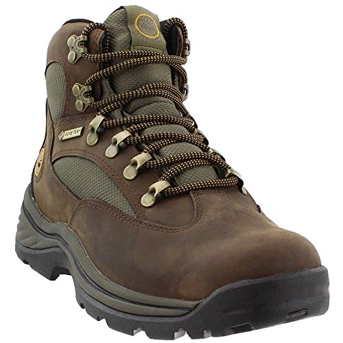 Timberland Chocorua Trail feminina com membrana Gore-Tex, Marrom escuro de flor integral, 38