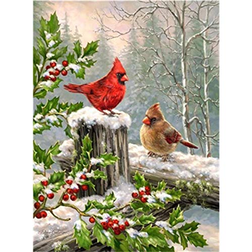 Karyees Christmas Cardinals Paint by Numbers Kits 16x20in Two Cardinals in The Snow DIY Painting by Numbers Northern Cardinals DIY Canvas Painting by Numbers Acrylic Painting Kits Snow Cardinals