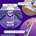Swiffer PowerMop Floor Cleaning Solution with Lavender Scent, Triple Pack