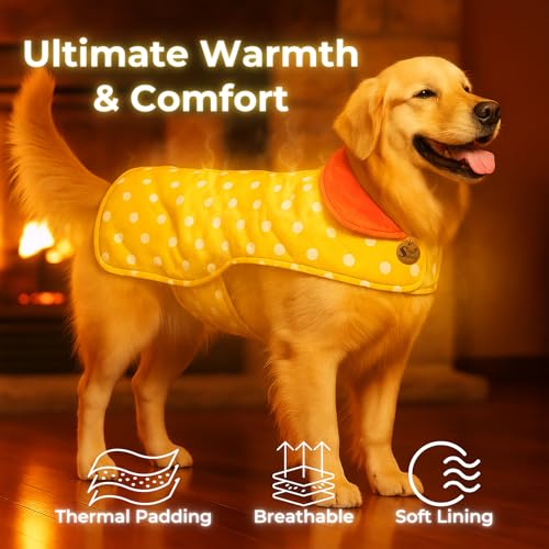 Image of Sage Square Dual-Sided Polka Dot Dog Jacket - Protective Cold-Weather Gear for Pets, Lightweight, Cushioned, Designed for Warmth & Comfort Indoors or Outside (Polka Yellow, 3XL - 24 Inch)