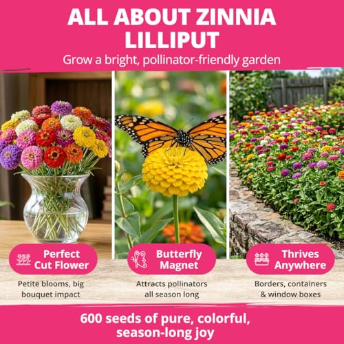 Image of HOME GROWN Zinnia Lilliput Mix Flower Seeds for Planting Spring 2026 - 2500 Seeds (2g) Zinnia elegans - Colorful Zinnia Seed Mix for Garden Beds, Containers & Cut Flowers, Easy Grow Zinnia Seeds
