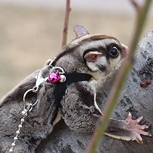 3 Pack Sugar Glider Harness and Leash Set - Adjustable Traction Rope Strap Anti-Biting Chain Rope, Small Animal Training…