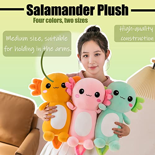 Cnaana Cute Axolotl Stuffed Animal Salamander Plush, Soft Axolotl Plush Toy For Boys Girls Gifts For Gifts (Orange, 9.8In/25Cm) #TOP2