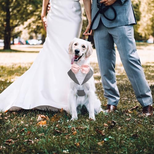 Hund Kleidung Tuxedo, Haustier Mantel Formale Hochzeit Verkleidungen & Kostüme für Hunde Chihuahua Kostüm Formelles Hunde-Smoking(Grau, S)