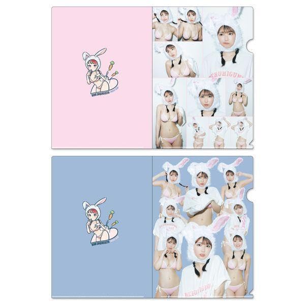 沢口愛華 2024カレンダー ニコニコch会員限定特典B2ポスター