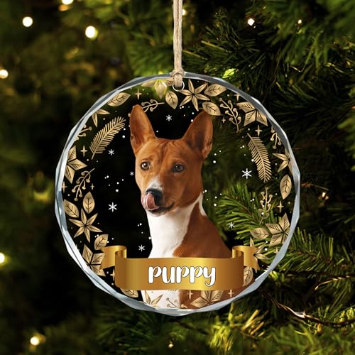 Cristallo Palline di Natale con Cane Gatto Animale domestico Foto Personalizzate,Decorazioni Albero di Natale con Foto e Nome,Interno Esterno ornamento Appeso,Regalo per gli amici amanti degli animali