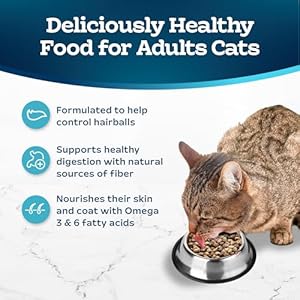 Blue Buffalo Tastefuls Grownup Dry Cat Meals for Weight Administration & Hairball Management, Made within the USA with Pure Elements, Hen Recipe, 7-lb. Bag