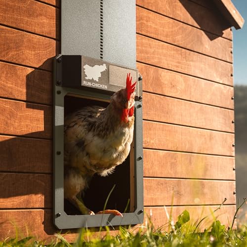 RUN-CHICKEN Door (Gray) Solar Chicken Coop Door, Battery Powered Automatic Chicken Coop Door, Programmable Electric Chicken Door with Timer, Light Sensor, Solar Powered, Eternal