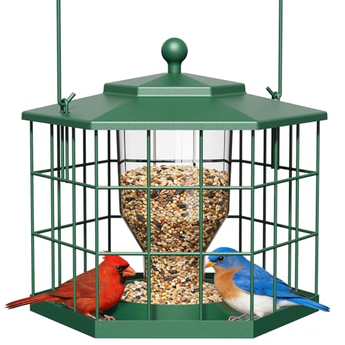 Birdream Squirrel Proof Bird Feeders for Outdoor Hanging Metal Cage Bird Feeder with Rain Proof Covered for Wildbirds Bluebird Finches Green