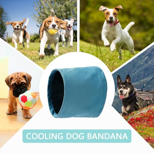 Chumix Hunde Halstücher Kühlend, Kühlhalsband für Hunde, Halstuch Hund, Sommer Kühlung Hundehalstuch, Hundehalsband Kühlend, Kühlende Bandana Hund, für Kühlhunde im Sommer, Größe M(45x13cm)