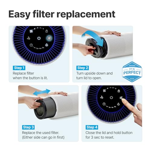Image of Coway Airmega 50 Air Purifier Replacement Filter Set, High-Efficiency Genuine Particulate Filter and Deodorization Filter, 1 Pack