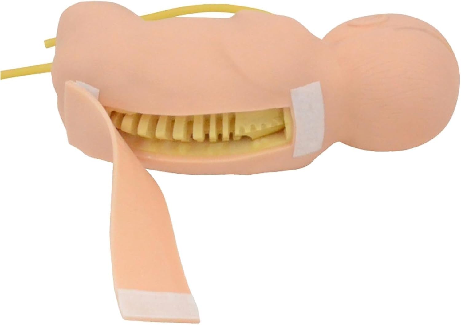 Simulatore di Puntura Lombare Neonatale A Grandezza Naturale, Modello di Pratica Neonatale per Medici, Infermieri E Studenti, Ausilio Realistico per La Formazione E Lo Flesh