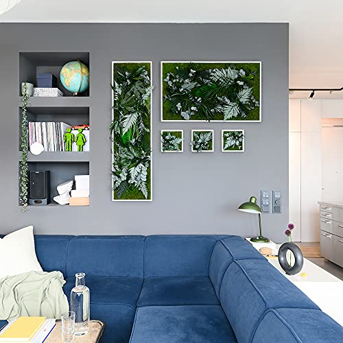 styleGREEN Pflanzenbild im Dschungeldesign 22x22cm 3er Set - Image 5