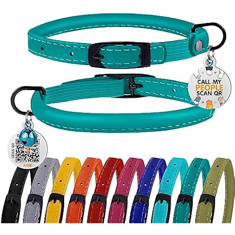 BRONZEDOG Cat Collar with Bell Kitten Rolled Leather Collars Safety QR ID Name Tag (Teal) Cover