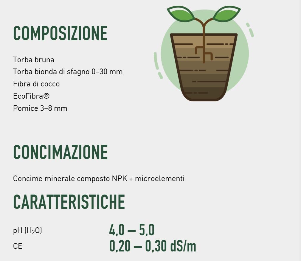 Terriccio per Acidofile 2 Confezioni da 20L (40L Totali) | Substrato Professionale per Azalee, Ortensie, Camelie e Rododendri | pH Acido | Alta Qualità | Ideale per Vaso e Giardino