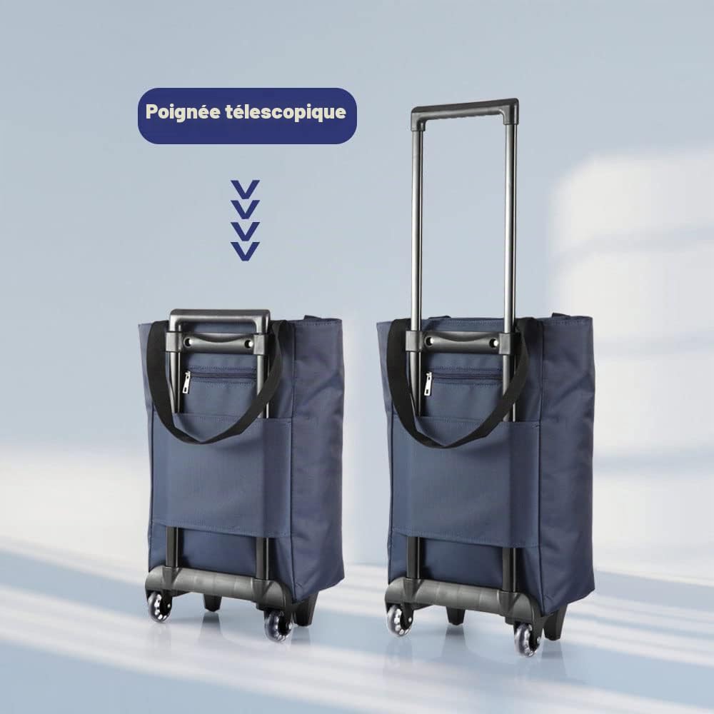 17L Sac de Courses à Roulettes Pliable - Petit Chariot de Courses à Roues Zippé Imperméable Télescopique Réutilisable Poids Léger Panier de Courses pour supermarché marché, aîné Femme