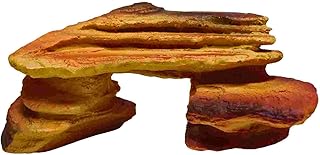 Reptile Step Ledge and Basking Platform with Reptile Food and Water Dish- for Lizards, Geckos, Turtles and Fish - Reptile Terrarium, Turtle Tank and Fish Tank Accessories - Bundle of 2