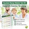 Heavy Metal Test Kit Thallium Kit 1 Pack - Home Water Testing Kit, Drinking Water Test Kit for Home, Heavy Metal Test Kit for Humans, Metal Testing Kit for Urine, Food, Water & Other Materials