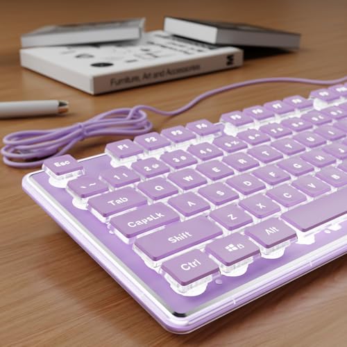SEUNKWANG Wired Backlit Keyboard with Pudding Keycaps, Quiet...