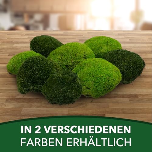 Mousse de bourdon préservée vert clair 100g pour créations végétales - 8