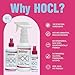 Think Smarter Products HOCL All-Purpose Cleaner with Hypochlorous Acid, All-Natural Surface Cleaner, & Skin Hydrator 16fl oz Clear Spray