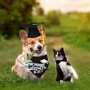 2024-Dog-Graduation-Cap-and-Gown-with-2024-Gold-Tassel-for-Graduation-Outfits-Gifts-Dog-Graduation-Bandana-for-Small-Medium-Large-Dogs - Cucciolini Doodles 2024-Dog-Graduation-Cap-and-Gown-with-2024-Gold-Tassel-for-Graduation-Outfits-Gifts-Dog-Graduation-Bandana-for-Small-Medium-Large-Dogs
