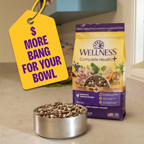 Wellness Complete Health+ Small Breed Adult Dry Dog Food with Freeze Dried Wellbites, Wholesome Grain Kibble+, Natural, Turkey and Oatmeal Recipe, 3.75 lb Bag - image 7