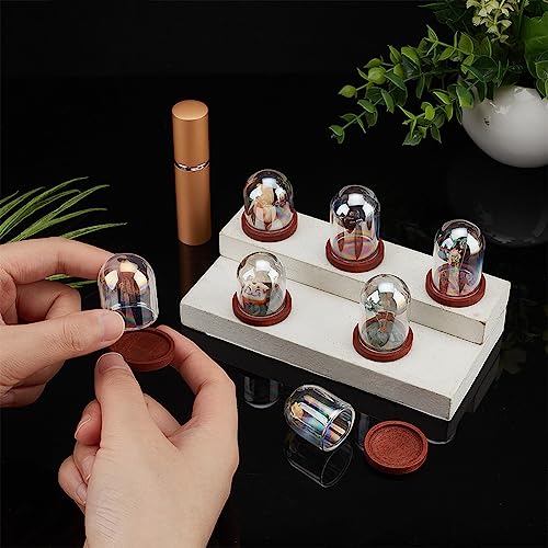 Cloche en verre avec base anti-poussière pour protéger vos objets précieux