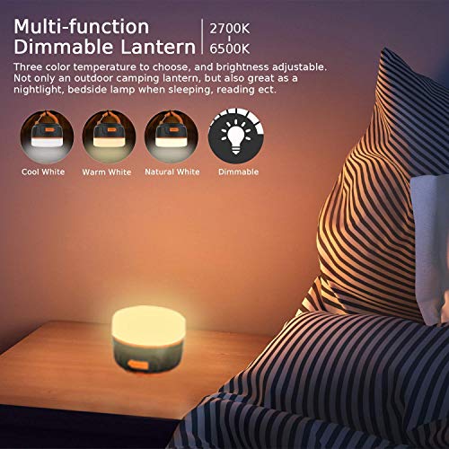 COSWE Pulverizador de bidê elétrico portátil de 1L com luz noturna; bidê portátil de acampamento com