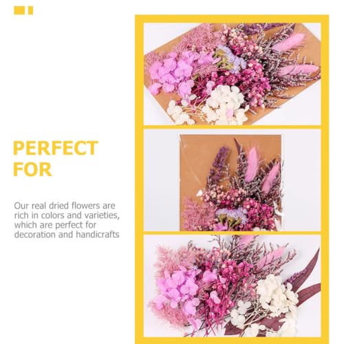 Paquete de Flores Secas Naturales para Manualidades miniatura 3