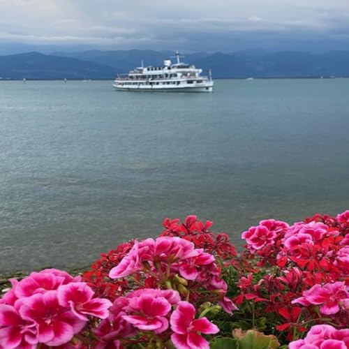 #97 Was im Leben wirklich wichtig ist