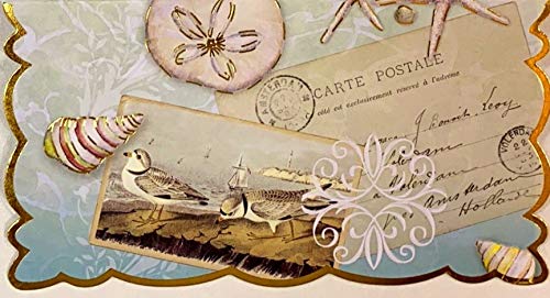 Image of Sea Shore Boxed Portfolio Note Cards by Carol Wilson Fine Arts (NCP4016)