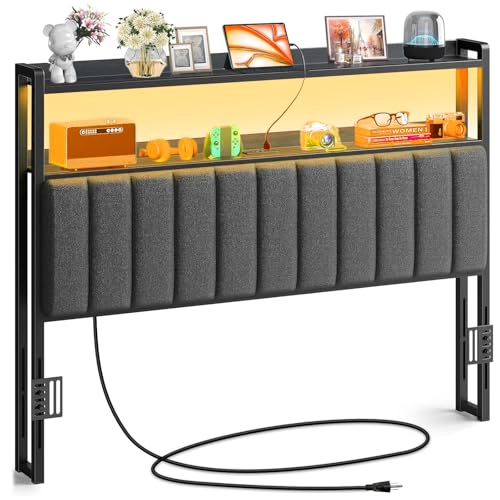 Cabecera Queen marca FURRIFIC