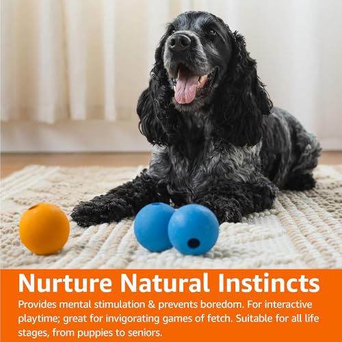 Image of Amazon Basics Interactive Bouncy Supreme Durable Natural Rubber Dog Toy Balls, Easy to Clean, 2.5 inch, Blue, Orange, Pack of 3