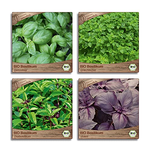Samenliebe BIO Basilikum Samen Set mit 4 samenfesten Kräutersamen Sorten für Küche indoor und Balkon Garten Basilikum BIO Kräuter Saatgut Samenliebe BIO Basilikum Samen Set mit 4 samenfesten Kräutersamen Sorten für Küche indoor und Balkon Garten Basilikum BIO Kräuter Saatgut