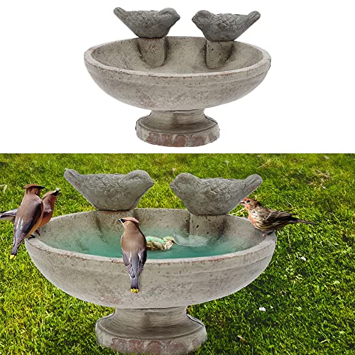 Cepewa Vogeltränke mit Zwei Vögeln | Zement 25cm | Vogeltränke Wasserbecken Vogelbad Vogelbecken Gartendekoration (1 x Vogeltränke 25cm)