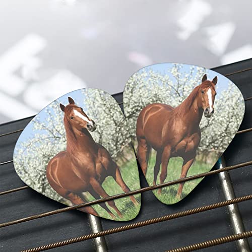 Cheval devant des arbres en fleurs médiators de guitare ensemble de 12 pièces pour guitare acoustique, guitare… - Les Beatles, Paul McCartney, John Lennon, RIngo Starr, George Harrison Cheval devant des arbres en fleurs médiators de guitare ensemble de 12 pièces pour guitare acoustique, guitare… – Image 8