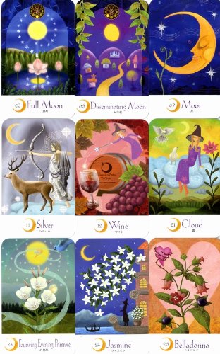 Amazon.co.jp: 太陽と月の魔女カード―Witch Cards of the Sun & the