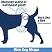 ValueWrap Male Wraps, Disposable Dog Diapers, 1-Tab Small, 48 Count - Snag-Free Fastener, Leak Protection, Wetness Indicator